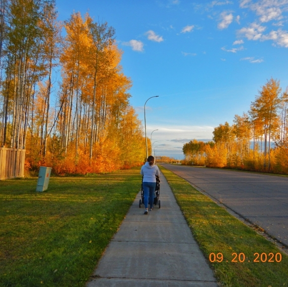 Meet your Posher, Ayxa - Picture 1 of 1